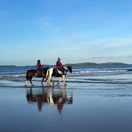 Mayo * Westport